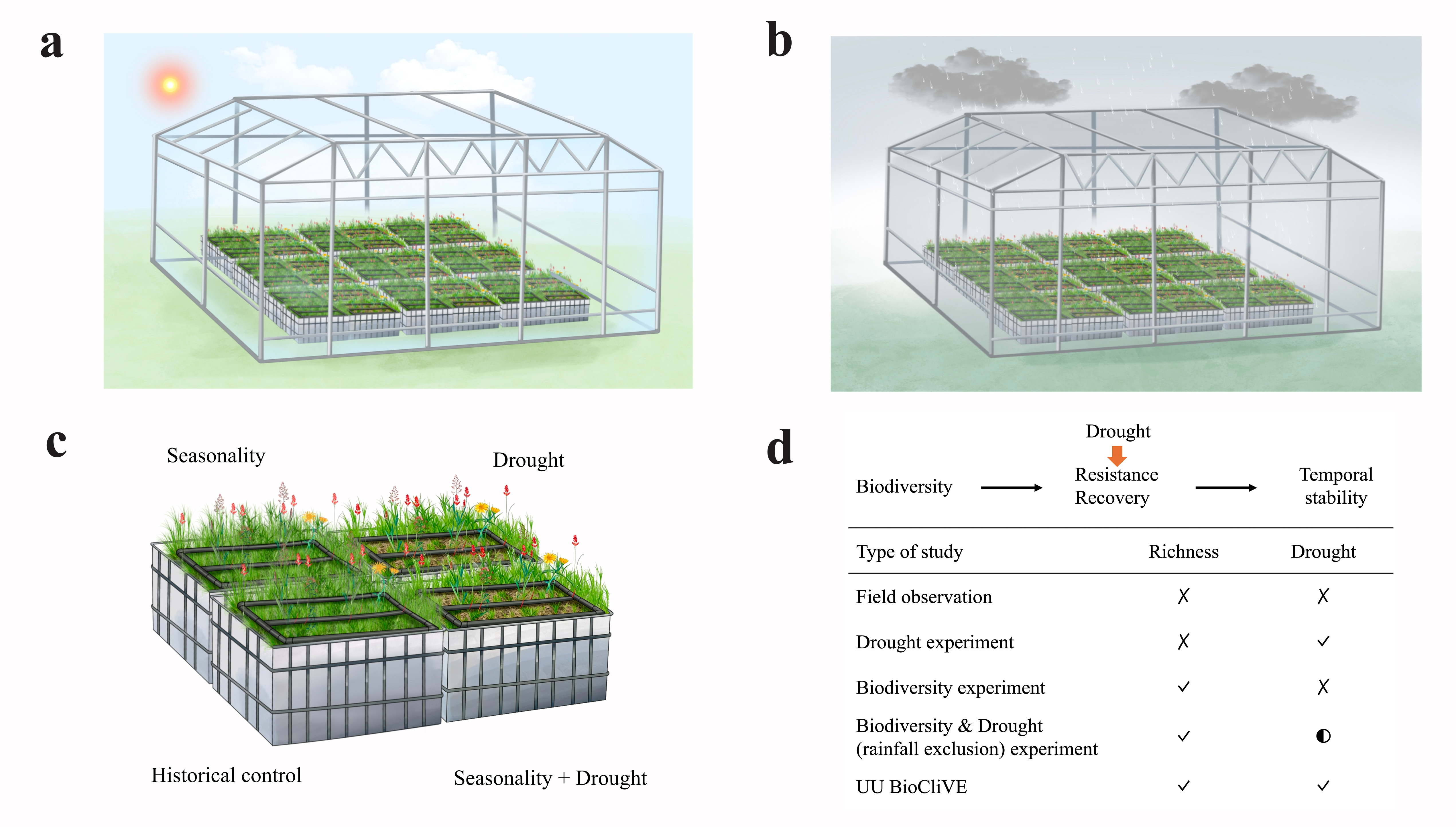 Experimental figure illustrating biodiversity and drought treatments in the UU BioCliVE grassland experiment
